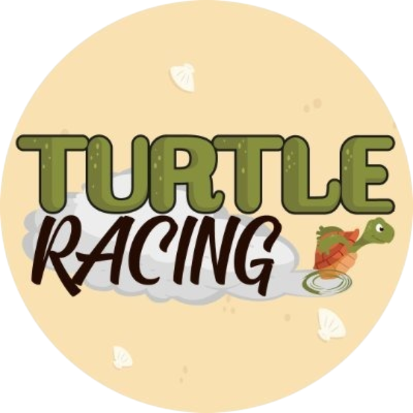 Turtle Racing